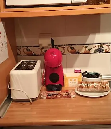 Apartament En El Pleno Centro De Con Garaje, Ascensor, Ventiladores Y Wifi Biescas (Aragon)
