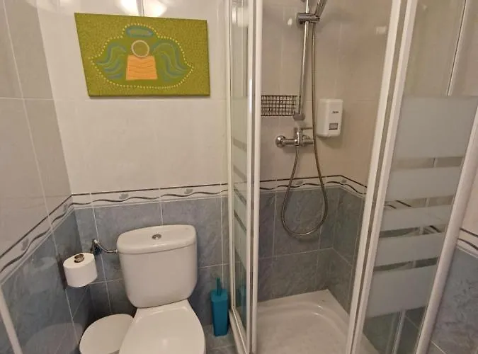 En El Pleno Centro De Con Garaje, Ascensor Y Wifi Biescas (Aragon)